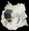 Gleaming, Cubic Pyrite With Quartz Crystals - Peru #54981-3